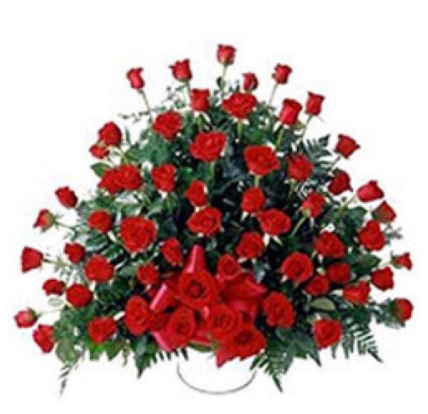 Dutch Red Roses with Alluring Affection